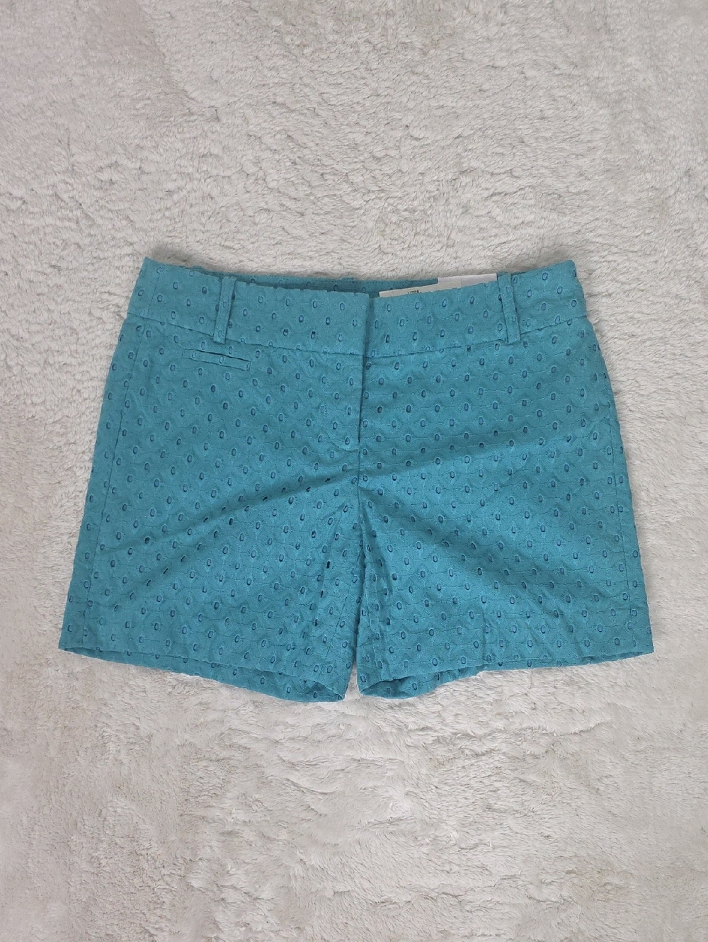 Ann Taylor NWT Loft Riviera Teal Diamond Eyele…